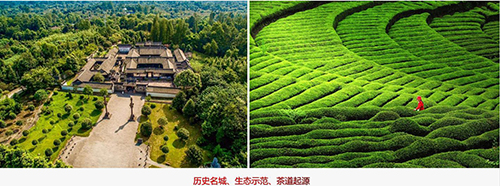 茶文化是历史，设计源于何方